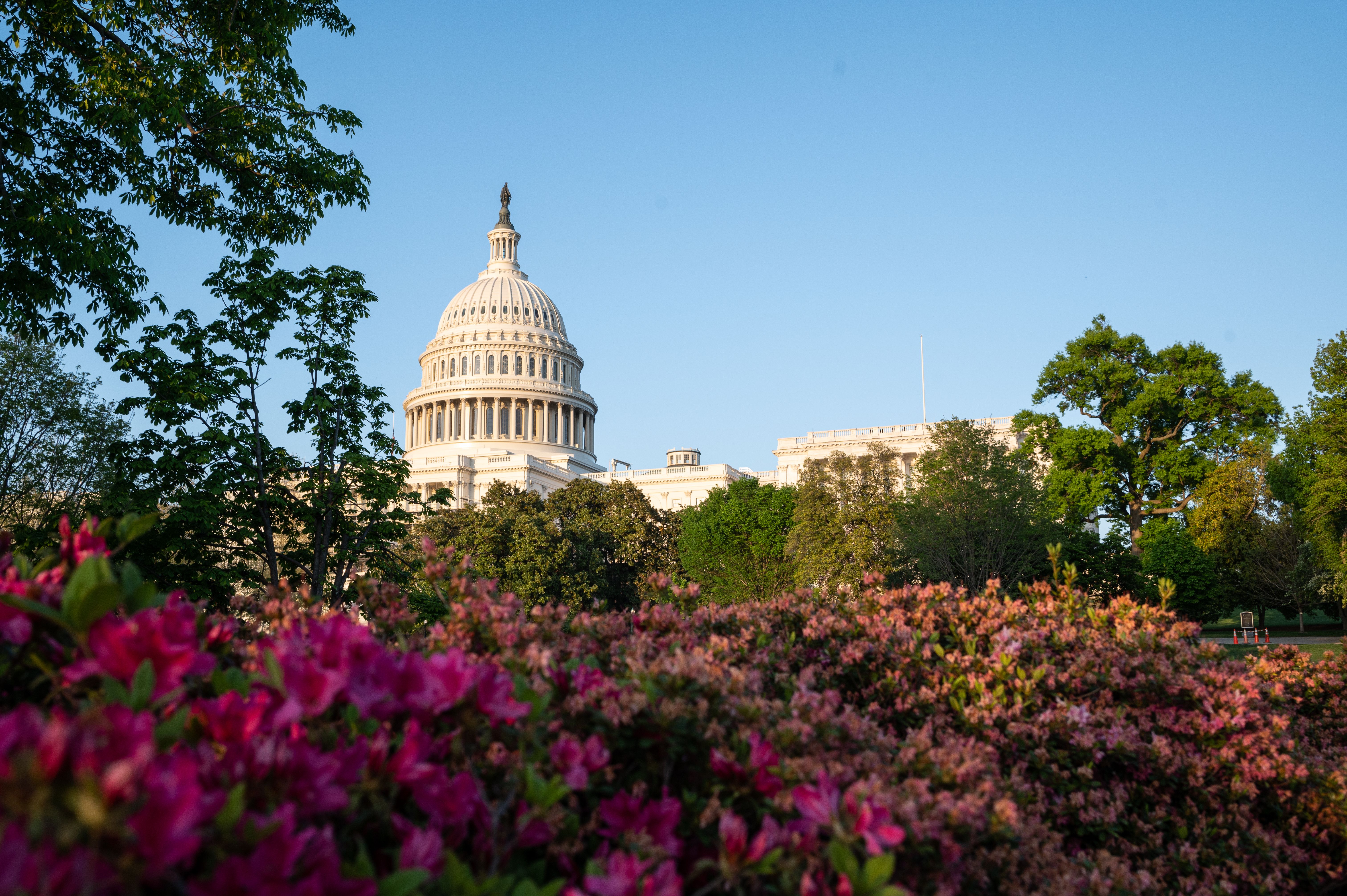 Capitol Hill Highlights: Advocacy in Action, Freedom in Motion